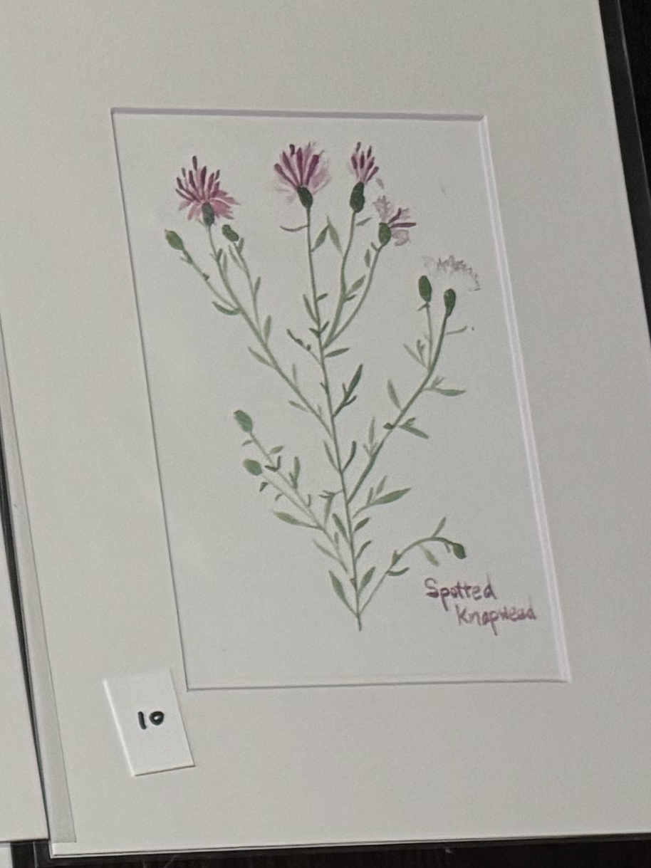 watercolor art prints