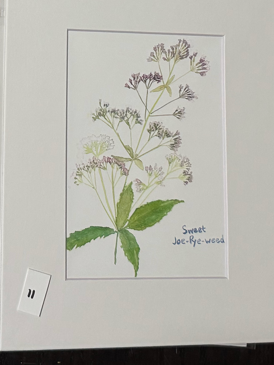 watercolor art prints