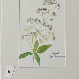 watercolor art prints